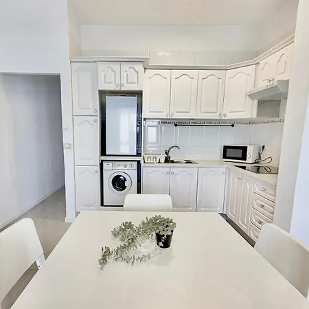 Gaviota * Puerto de la Cruz (Tenerife)